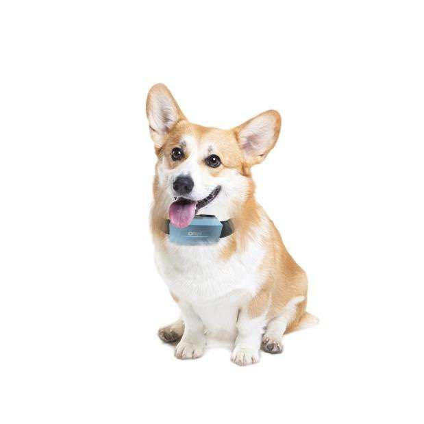 WPS圖片2 WPS圖片2