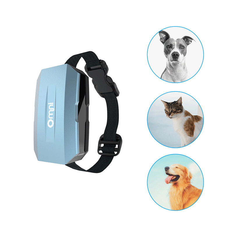 歐米智能寵物定位器可以解決哪些問題?