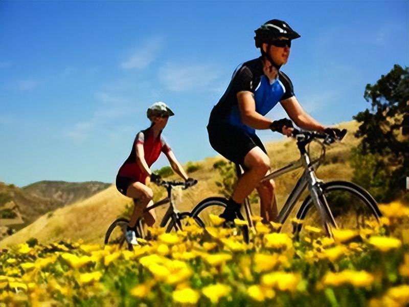 騎行過程中所需要注意的姿勢與好處有哪些？